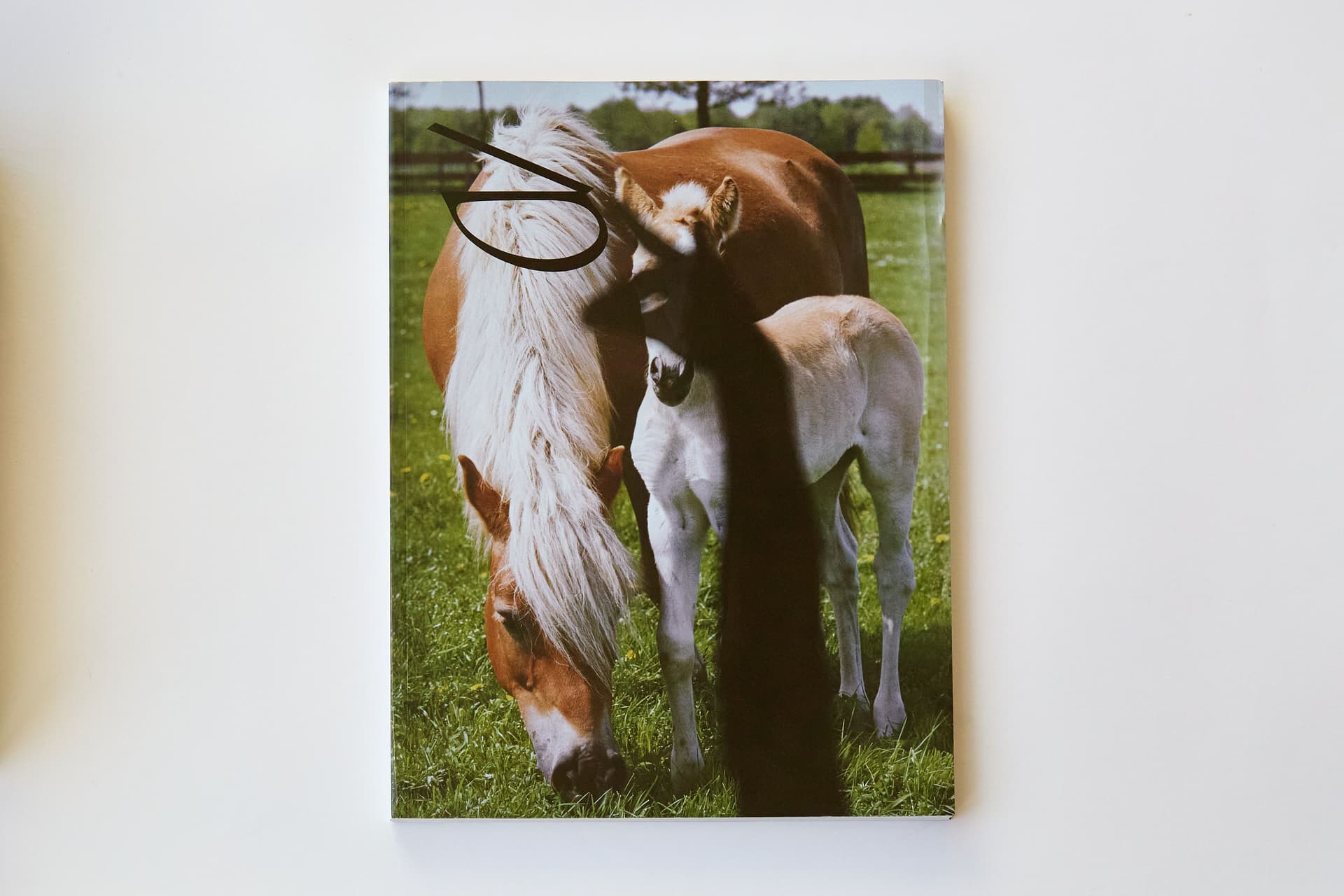 BILL Magazine issue 5